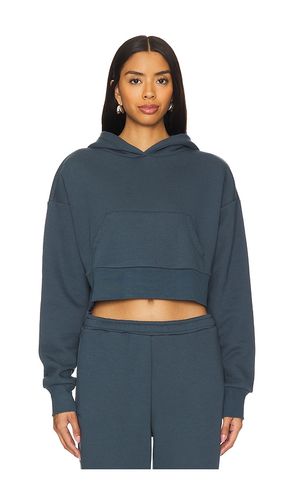 Cropped Hoodie in Slate. - size L (also in M, S, XL, XS) - IVL Collective - Modalova