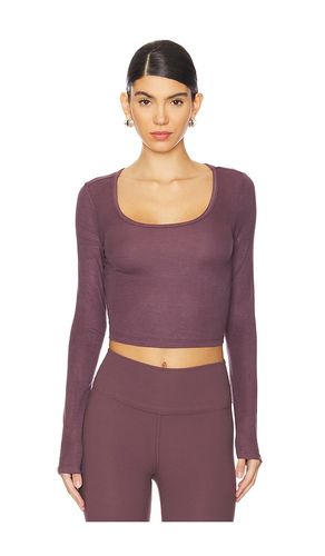 Long Sleeve Cropped Scoop Neck Top in Plum. - size L (also in XL, XS) - IVL Collective - Modalova