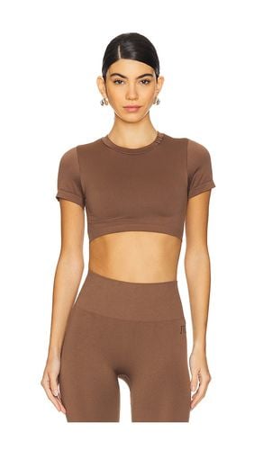 Seamless T-shirt Bra in Brown. - size M/L (also in XL, XS/S) - IVL Collective - Modalova