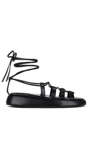 Innovate Sandal in . - size 8.5 (also in 9, 9.5) - Jeffrey Campbell - Modalova