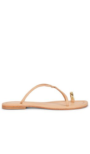 Pacifico Sandal in Beige. - size 6 (also in 7, 8, 9) - Jeffrey Campbell - Modalova