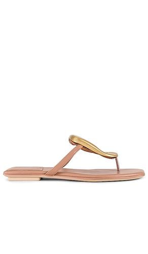 Linques-2 Sandal in Neutral. - size 6.5 (also in 6) - Jeffrey Campbell - Modalova