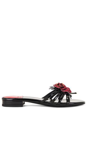 Enchanted Sandal in Black. - size 10 (also in 6, 6.5, 7, 7.5, 8, 8.5, 9, 9.5) - Jeffrey Campbell - Modalova