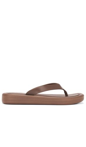 Elemental Sandal in . - size 8 (also in 9) - Jeffrey Campbell - Modalova