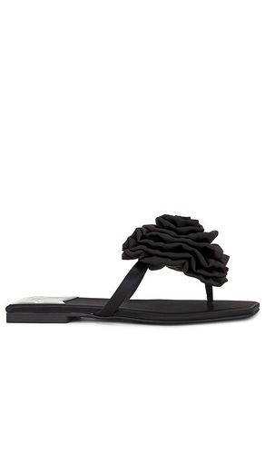 Perennial Sandal in Black. - size 10 (also in 6, 6.5, 7, 7.5, 8, 8.5, 9, 9.5) - Jeffrey Campbell - Modalova