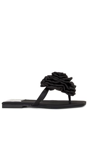 Perennial Sandal in Black. - size 6 (also in 7.5, 8) - Jeffrey Campbell - Modalova