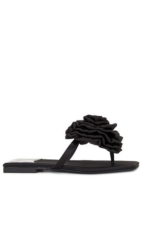 Perennial Sandal in Black. - size 6 (also in 7.5) - Jeffrey Campbell - Modalova