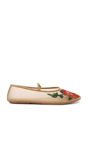 Swan Flower Flat in Beige. - size 10 (also in 6, 6.5, 7.5, 8, 8.5, 9.5) - Jeffrey Campbell - Modalova