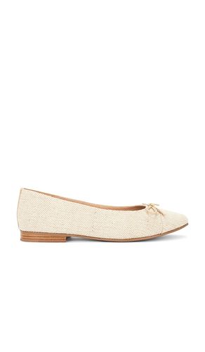 Ballet Wv Flat in . - size 10 (also in 7.5) - Jeffrey Campbell - Modalova