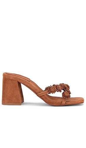 Ditzy Sandal in Brown. - size 10 (also in 7, 8, 9) - Jeffrey Campbell - Modalova