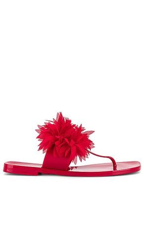 Pollinate Sandal in Red. - size 10 (also in 6, 7, 8, 9) - Jeffrey Campbell - Modalova