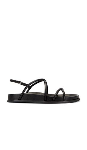 La Empress Sandal in . - size 6.5 (also in 7, 7.5, 8, 8.5) - Jeffrey Campbell - Modalova