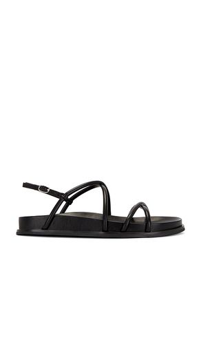 La Empress Sandal in . - size 6.5 (also in 9.5) - Jeffrey Campbell - Modalova