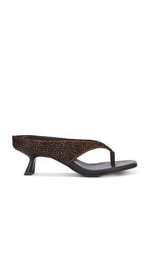 Thong in Brown in Brown. - size 6 (also in 10, 6.5, 7, 7.5, 8, 8.5, 9, 9.5) - Jeffrey Campbell - Modalova