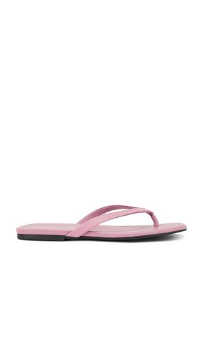 Charlee Sandal in Mauve. - size 10 (also in 6, 7, 8, 9) - Jeffrey Campbell - Modalova