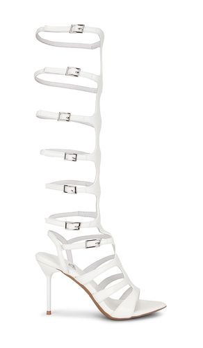 Spartan Sandal in . - size 6 (also in 6.5, 7, 7.5, 8, 8.5) - Jeffrey Campbell - Modalova