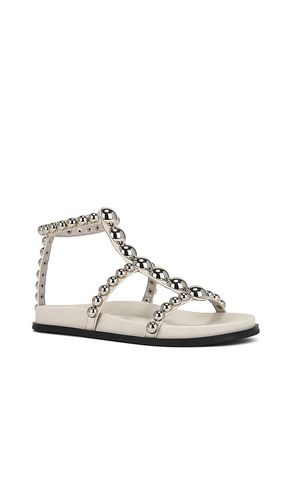 SANDALEN MINNOW in . Größe 7. Also in 7.5 - Jeffrey Campbell - Modalova
