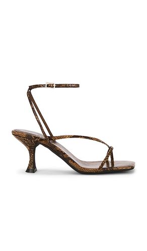 Fluxx Sandal in Brown. - size 10 (also in 5.5, 6, 6.5, 7, 7.5, 8, 8.5, 9, 9.5) - Jeffrey Campbell - Modalova