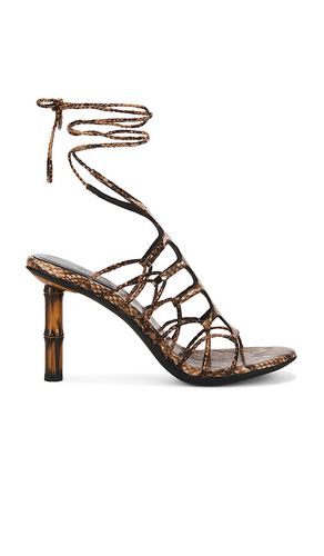 SANDALE SCINTILLA in . Größe 6. Also in 7.5 - Jeffrey Campbell - Modalova