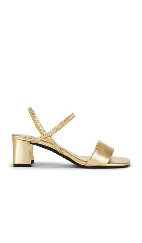 SANDALE ADAPT in . Größe 7. Also in 8, 9.5 - Jeffrey Campbell - Modalova