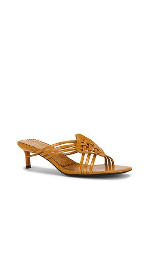 SANDALE AMENITY in . Größe 6. Also in 7, 7.5, 8 - Jeffrey Campbell - Modalova