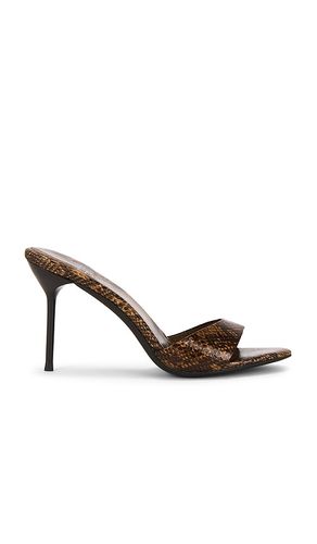 Ce-Soire Sandal in Brown. - size 10 (also in 5.5, 6, 6.5, 7, 7.5, 8, 8.5, 9, 9.5) - Jeffrey Campbell - Modalova