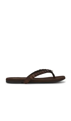 SANDALE MOANA in . Größe 6. Also in 6.5, 7, 8.5, 9.5 - Jeffrey Campbell - Modalova