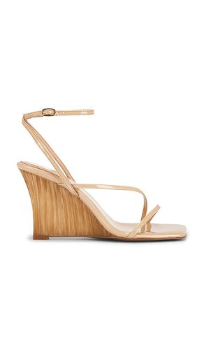 SANDALE TOPSAIL in . Größe 10. Also in 11, 9, 9.5 - Jeffrey Campbell - Modalova