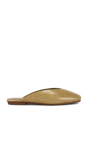 Advocate Flat in . - size 10 (also in 6, 6.5, 7, 7.5, 8, 9.5) - Jeffrey Campbell - Modalova