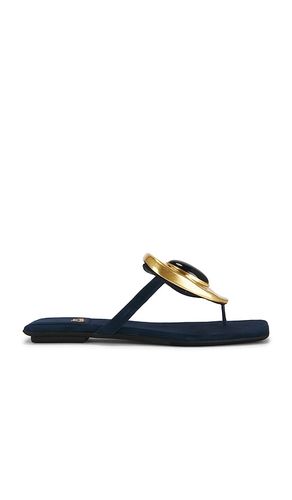 SANDALE BAZAAR FLAT in . Größe 6. Also in 6.5, 7.5, 8, 8.5 - Jeffrey Campbell - Modalova