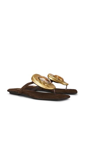 SANDALE BAZAAR FLAT in . Größe 7.5. Also in 9 - Jeffrey Campbell - Modalova