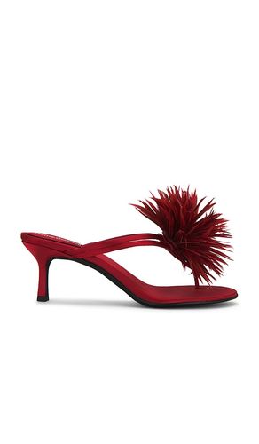 SANDALE FIREWORK in . Größe 6. Also in 9 - Jeffrey Campbell - Modalova
