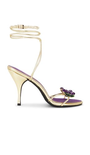 SANDALE KLEO in . Größe 10. Also in 6.5, 7.5 - Jeffrey Campbell - Modalova
