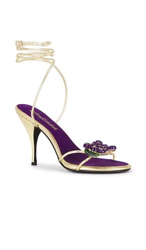 SANDALE KLEO in . Größe 10. Also in 7, 8 - Jeffrey Campbell - Modalova