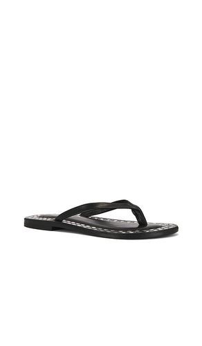 Katrina Strap Sandal in . Taglia 6. Also in 7 - Jeffrey Campbell - Modalova