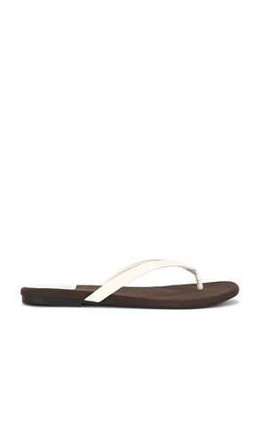 SANDALE KIERRA in ,. Größe 6. Also in 7, 7.5, 8, 8.5, 9, 9.5, 10 - Jeffrey Campbell - Modalova