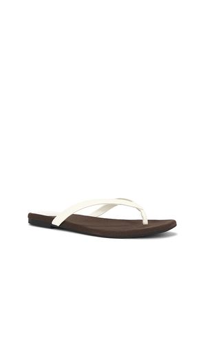 SANDALE KIERRA in ,. Größe 10. Also in 7, 8, 8.5, 9, 9.5 - Jeffrey Campbell - Modalova