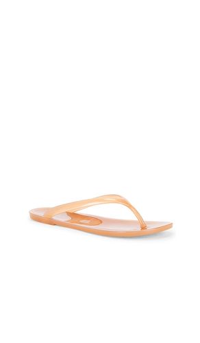 FLIP FLOPS BEACH DAY in . Größe 6. Also in 8, 5 - Jeffrey Campbell - Modalova