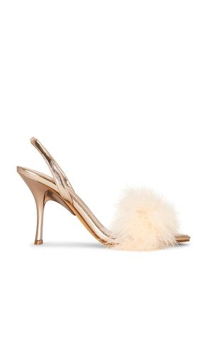 SANDALE THE FRUG in . Größe 10. Also in 6.5, 7, 7.5, 8, 8.5, 9 - Jeffrey Campbell - Modalova
