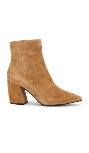 BOOT BOTITA in . Größe 10. Also in 6, 6.5, 7, 7.5, 8, 8.5, 9, 9.5 - Jeffrey Campbell - Modalova