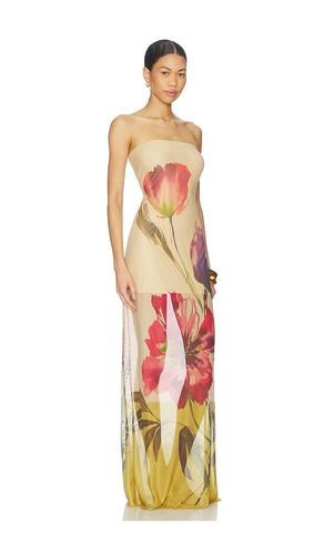 KLEID OFIRA in ,. Größe M. Also in XS - JBQ - Modalova