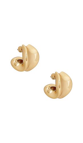 Chunky Doune Hoop Earrings in - Jenny Bird - Modalova