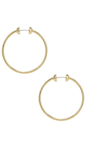 Icon Small Hoops in - Jenny Bird - Modalova