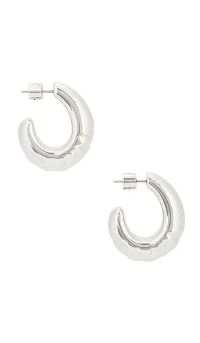 Slim Nelle Hoops in - Jenny Bird - Modalova