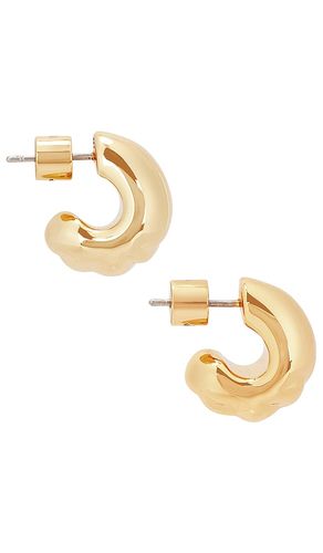 Small Nelle Hoops in - Jenny Bird - Modalova
