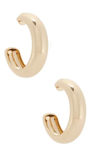 Large Gia Hoops in - Jenny Bird - Modalova
