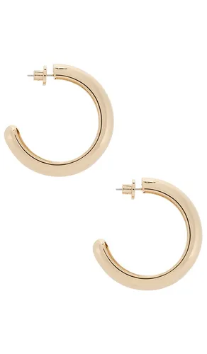 Large Gia Hoops in - Jenny Bird - Modalova