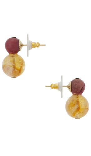 Cara Earrings in - Jennifer Behr - Modalova