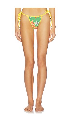 Painted Lady Bikini Bottom in Green. - size M (also in S, XS) - Juliet Johnstone - Modalova
