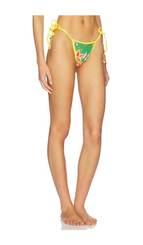 Painted Lady Bikini Bottom in Green. - size S (also in XS, M) - Juliet Johnstone - Modalova